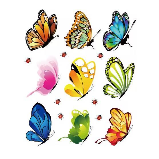 Butterfly's on the line